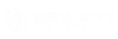 Brisant Logistics
